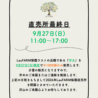 画像233