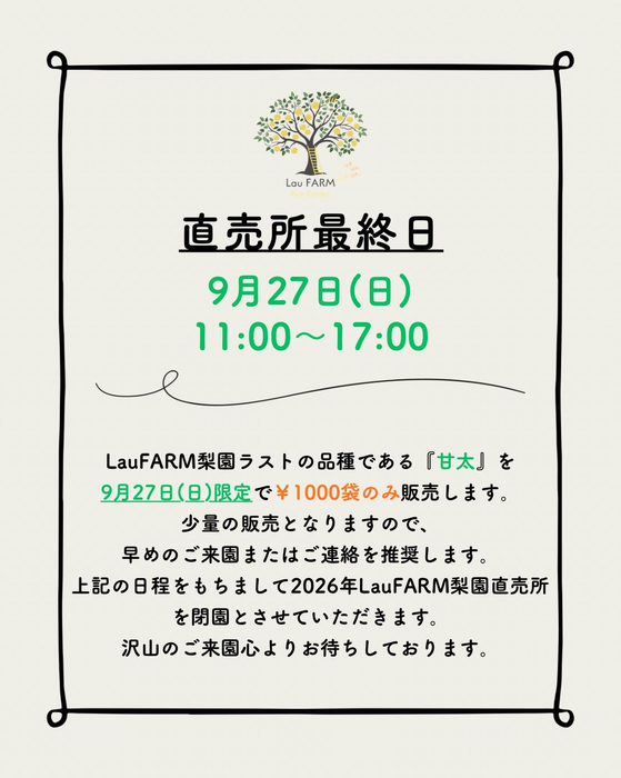 画像233