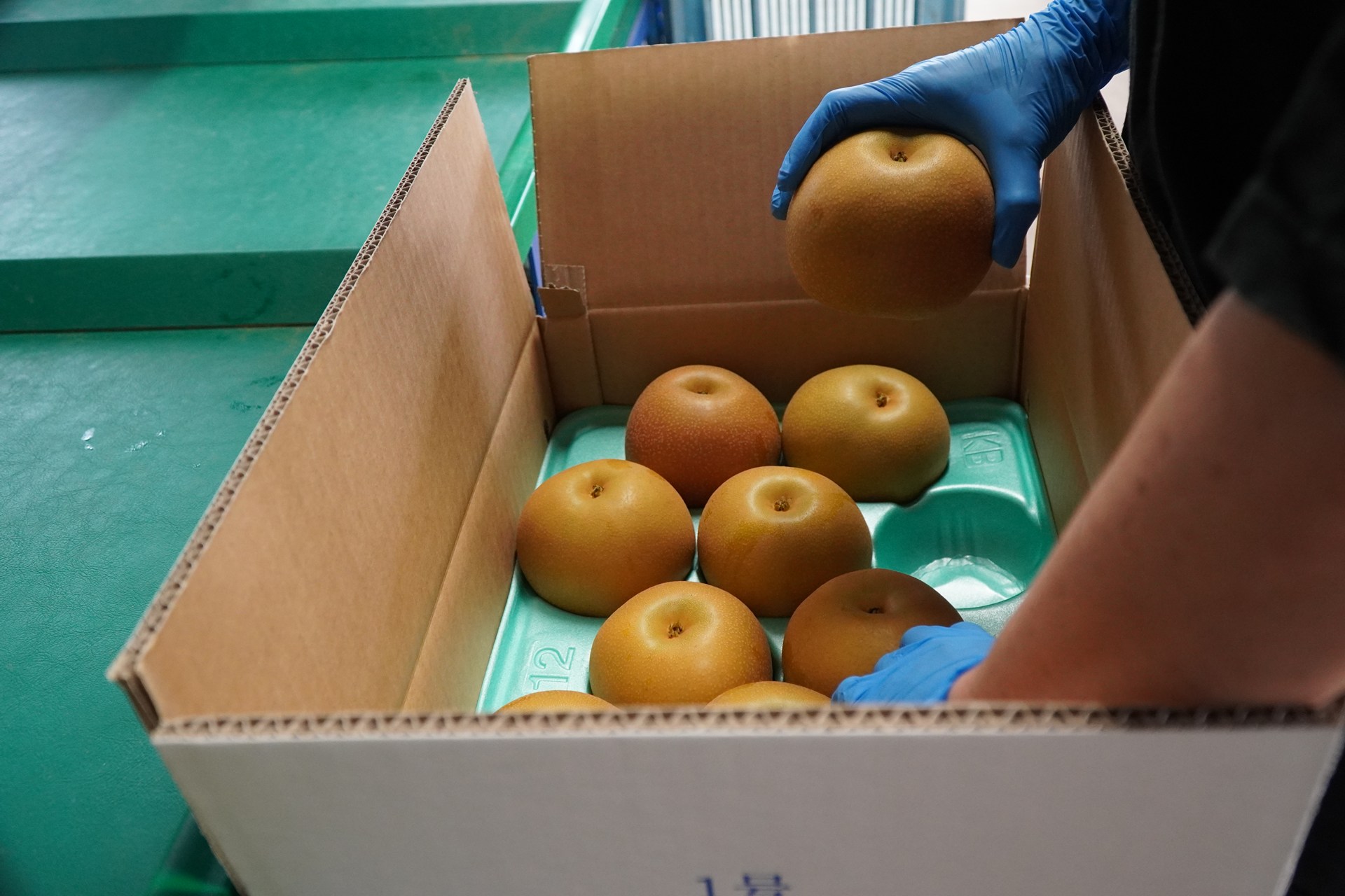 幸水の販売 | 千葉県白井の梨ならLauFARM