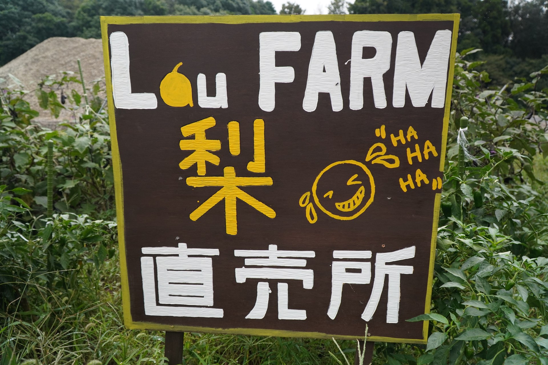 直売所でのご購入 | 千葉県白井の梨ならLauFARM
