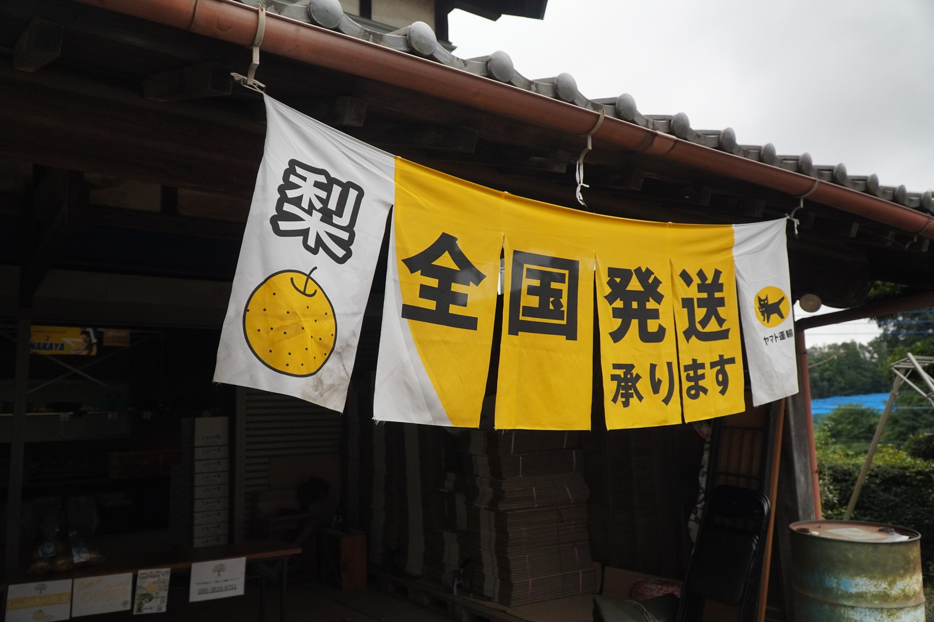 おいしい梨 | 千葉県白井の梨ならLauFARM