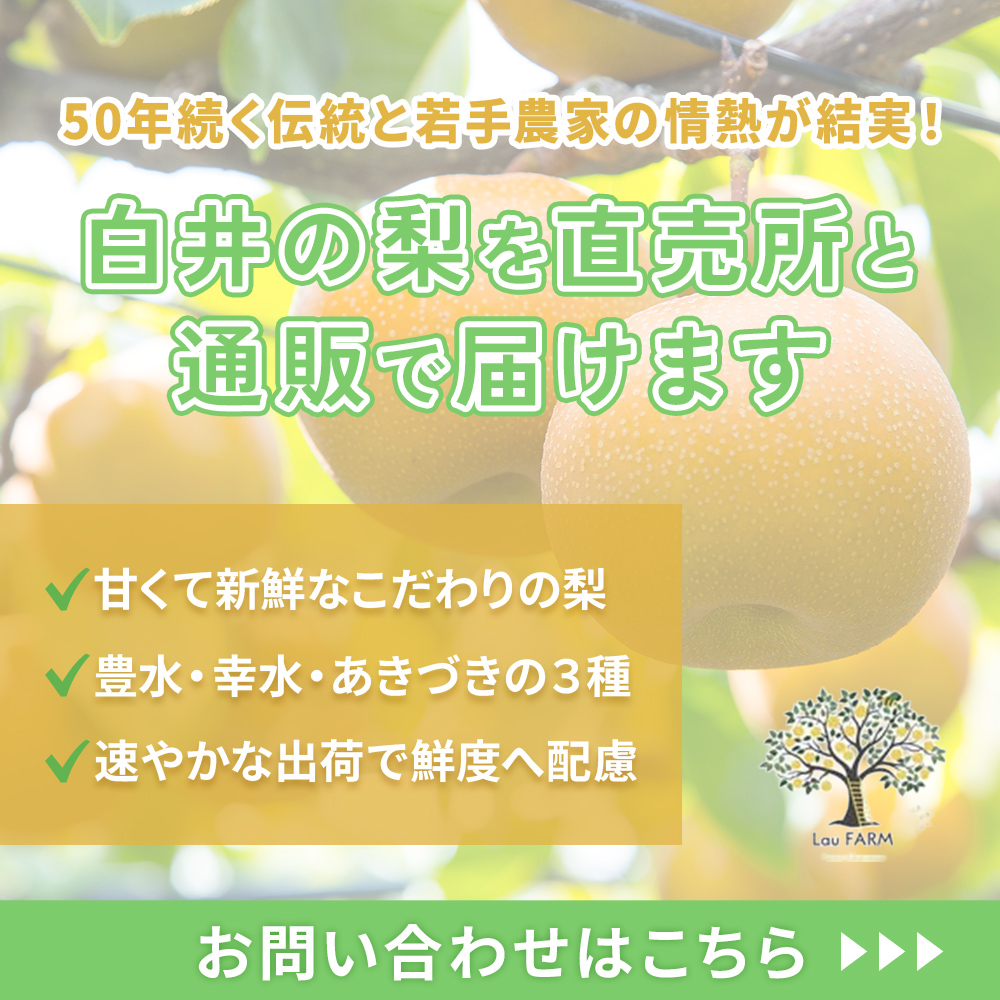 modal_banner